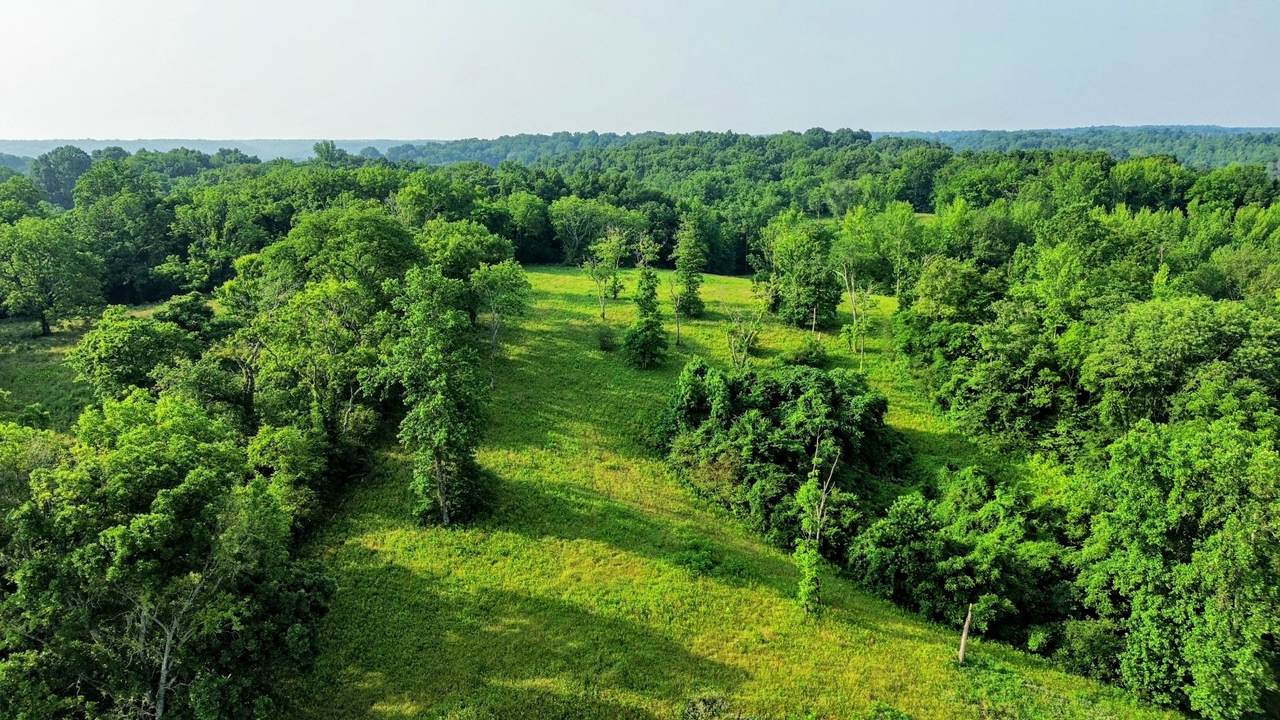 https://bt-photos.global.ssl.fastly.net/nashville/1280_boomver_2_RTC2901595-1.jpg