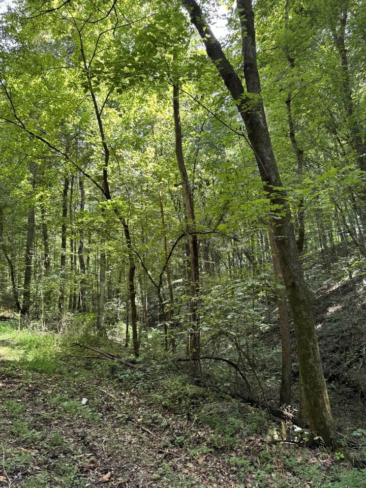 0 Albert Fentress Rd - Photo 1