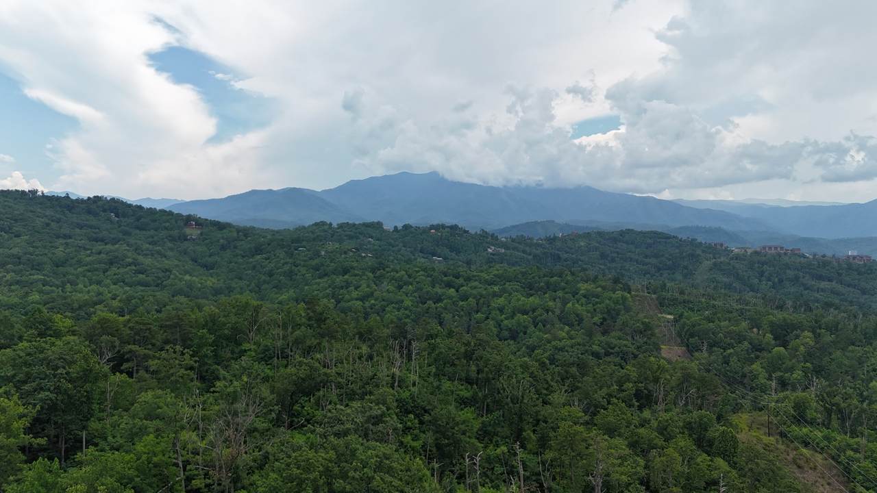 0 S King Branch Road - Photo 1