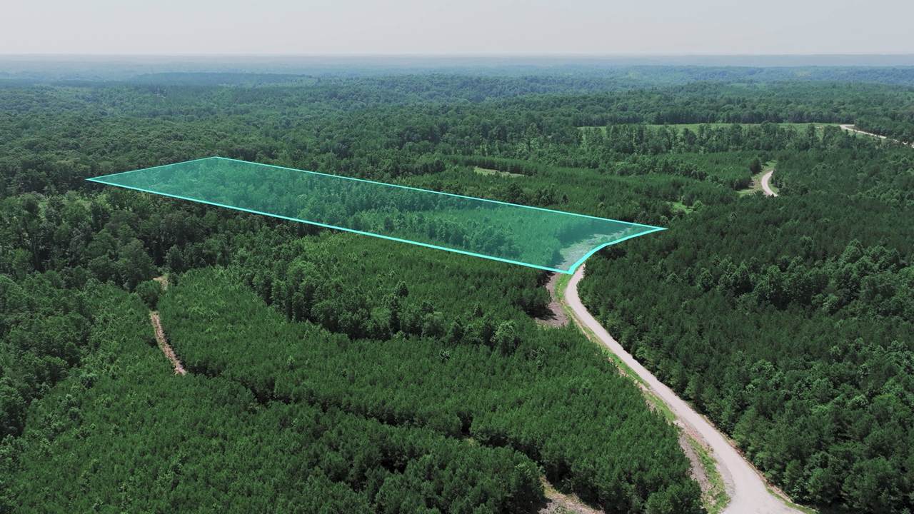 0 Cox Hollow Rd - Photo 1