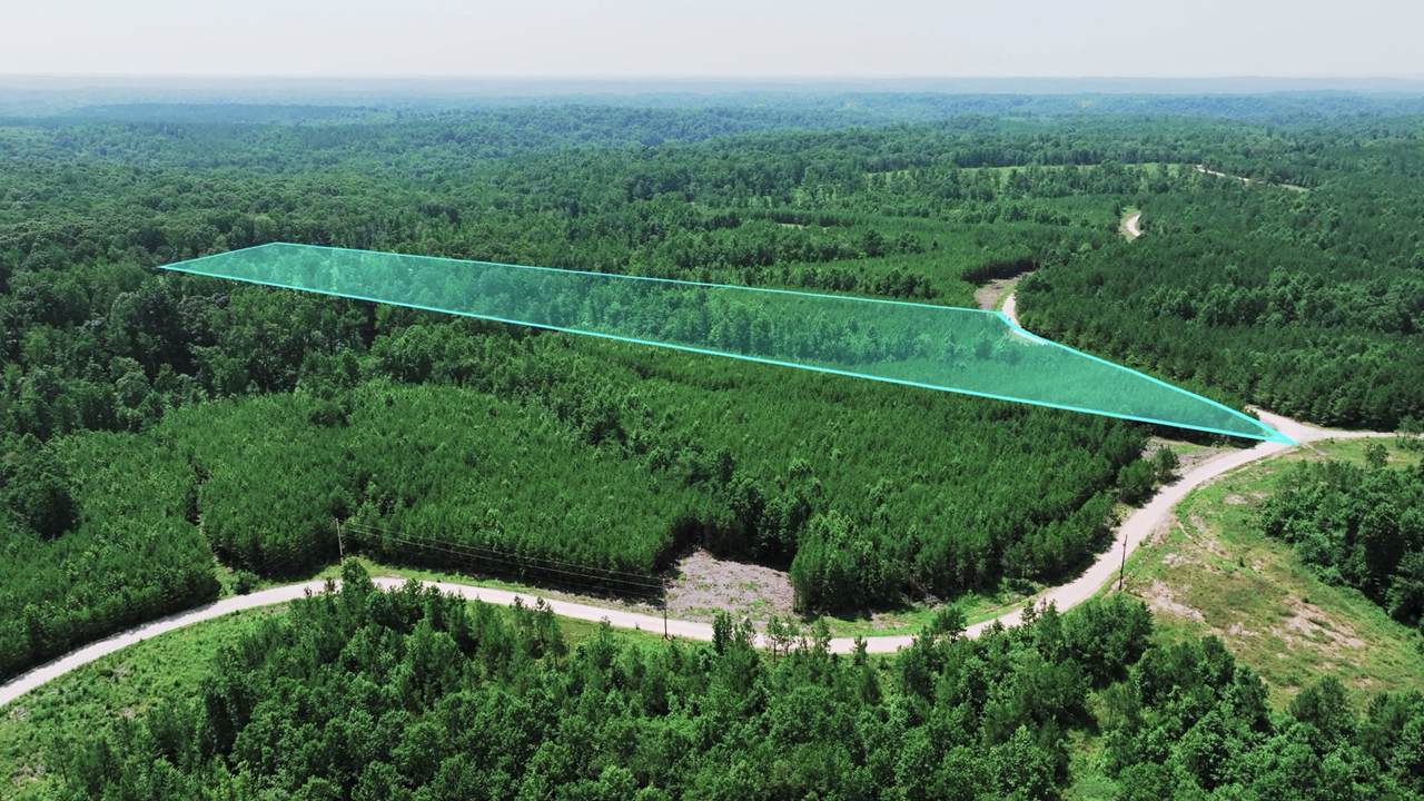 0 Cox Hollow Rd - Photo 1