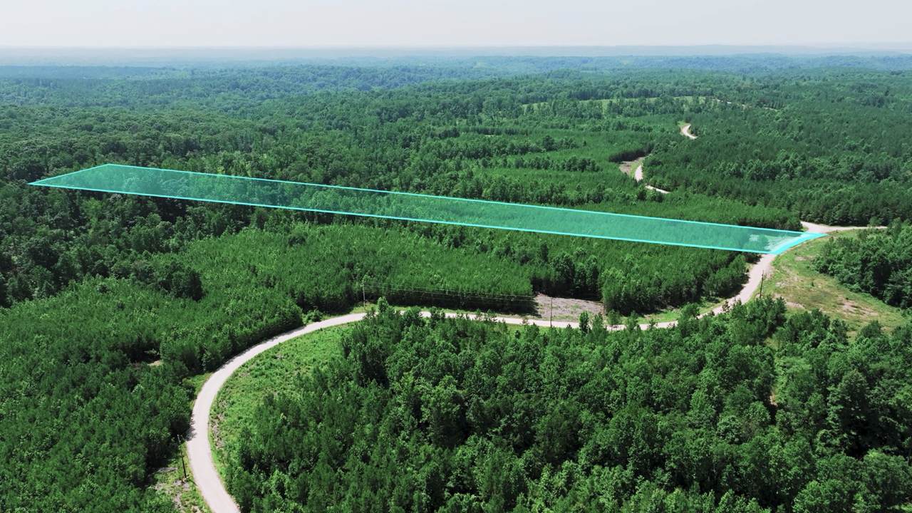 0 Cox Hollow Rd - Photo 1