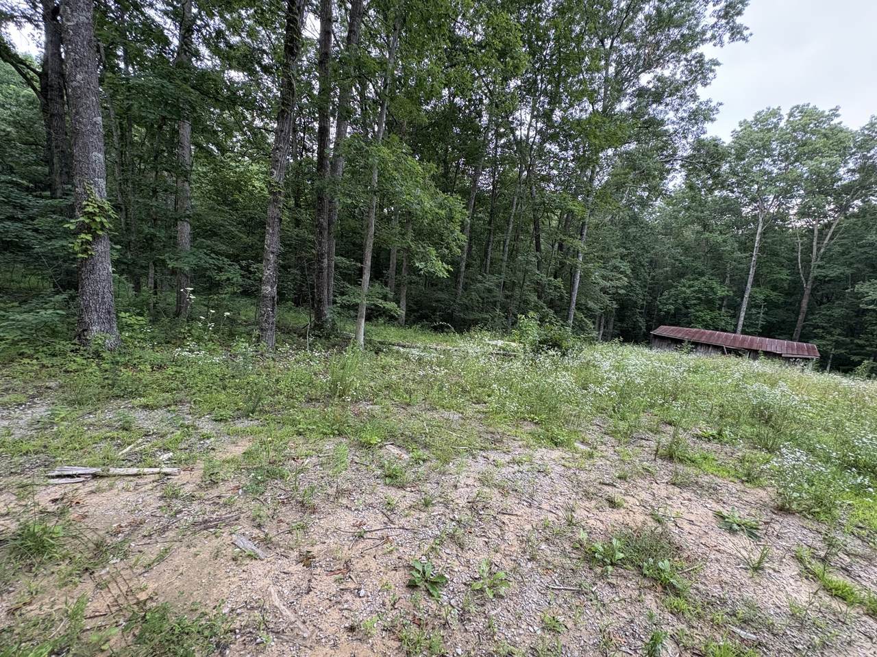 1117 Deer Run - Photo 1