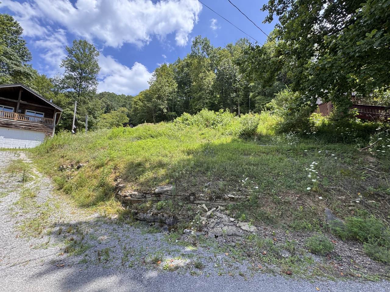 0 Johnson Chapel Road - Photo 1