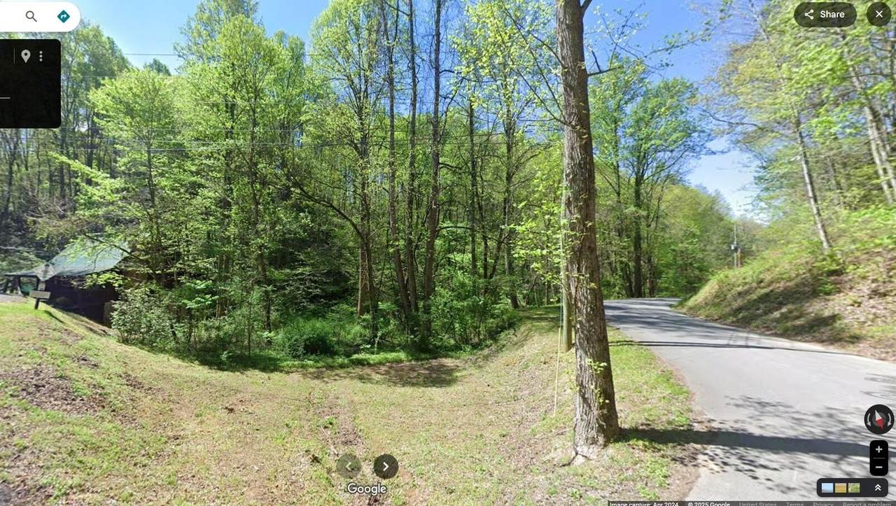 0 Silver Poplar Ln Tn - Photo 1