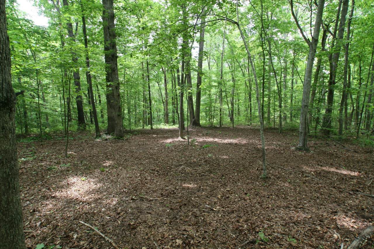 5671 Pinewood Rd - Photo 1