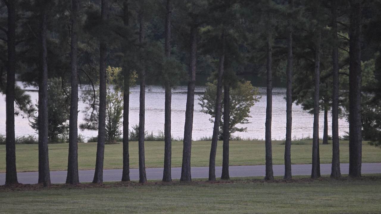 0 Dry Fork Drive - Photo 1