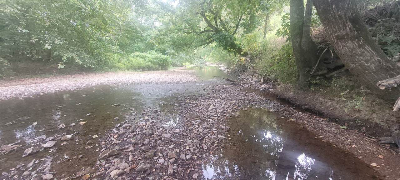 5641 New Highway 7 - Photo 1