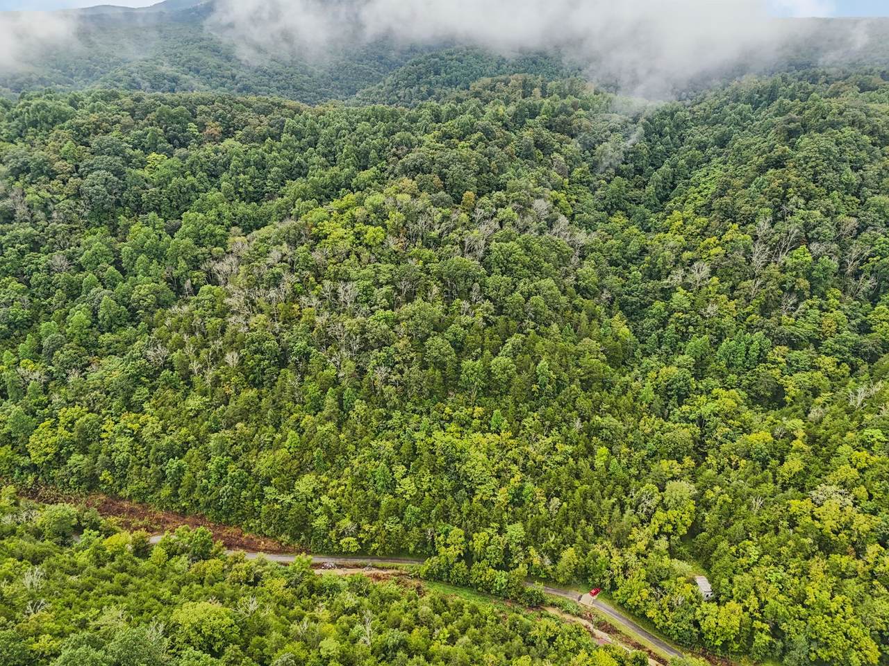 0 Turkey Branch Rd - Photo 1