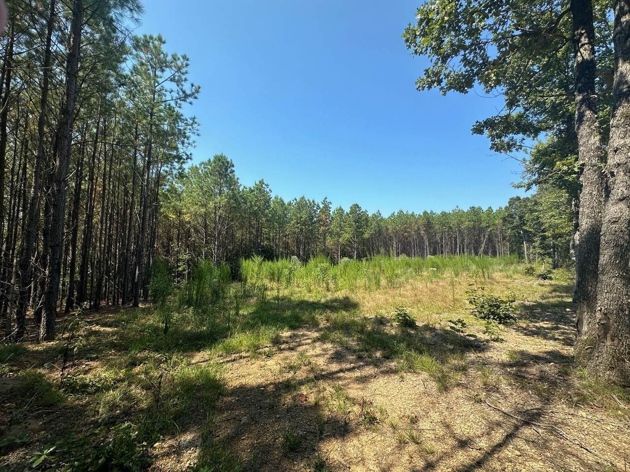 586 Seiber Ridge Rd - Photo 1