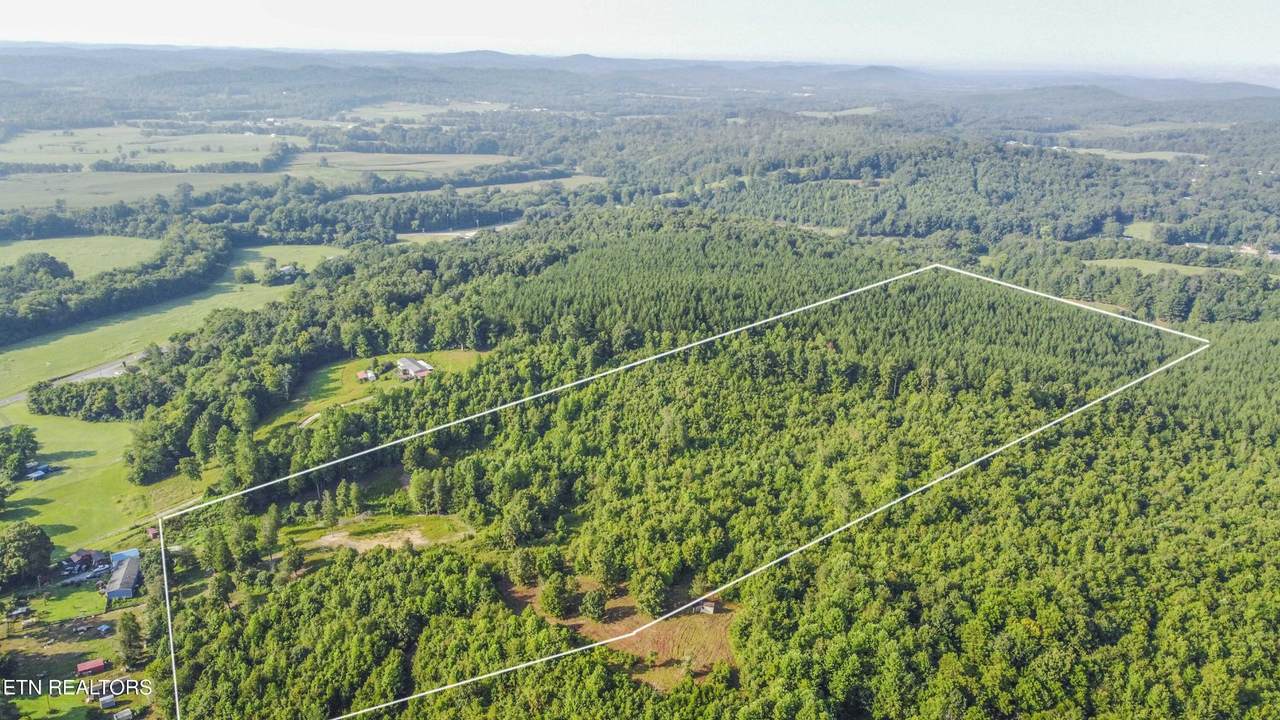 417 Womac Hollow Rd - Photo 1