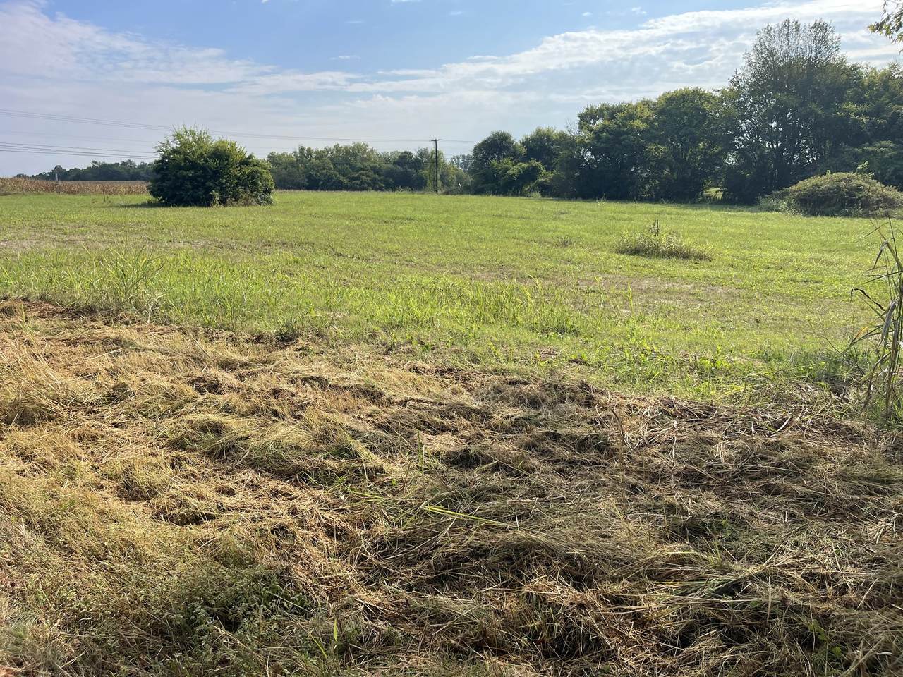 0 Williamsport Pike - Photo 1