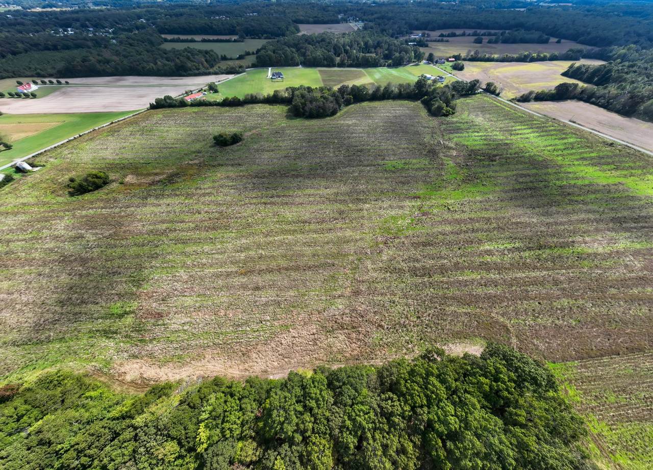 1 Newt Vanattia Rd - Photo 1