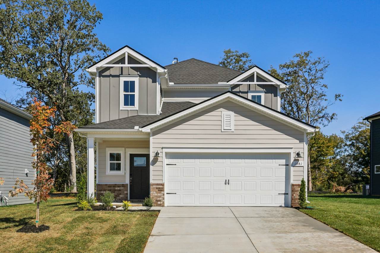 1541 Bear Branch Trce - Photo 1