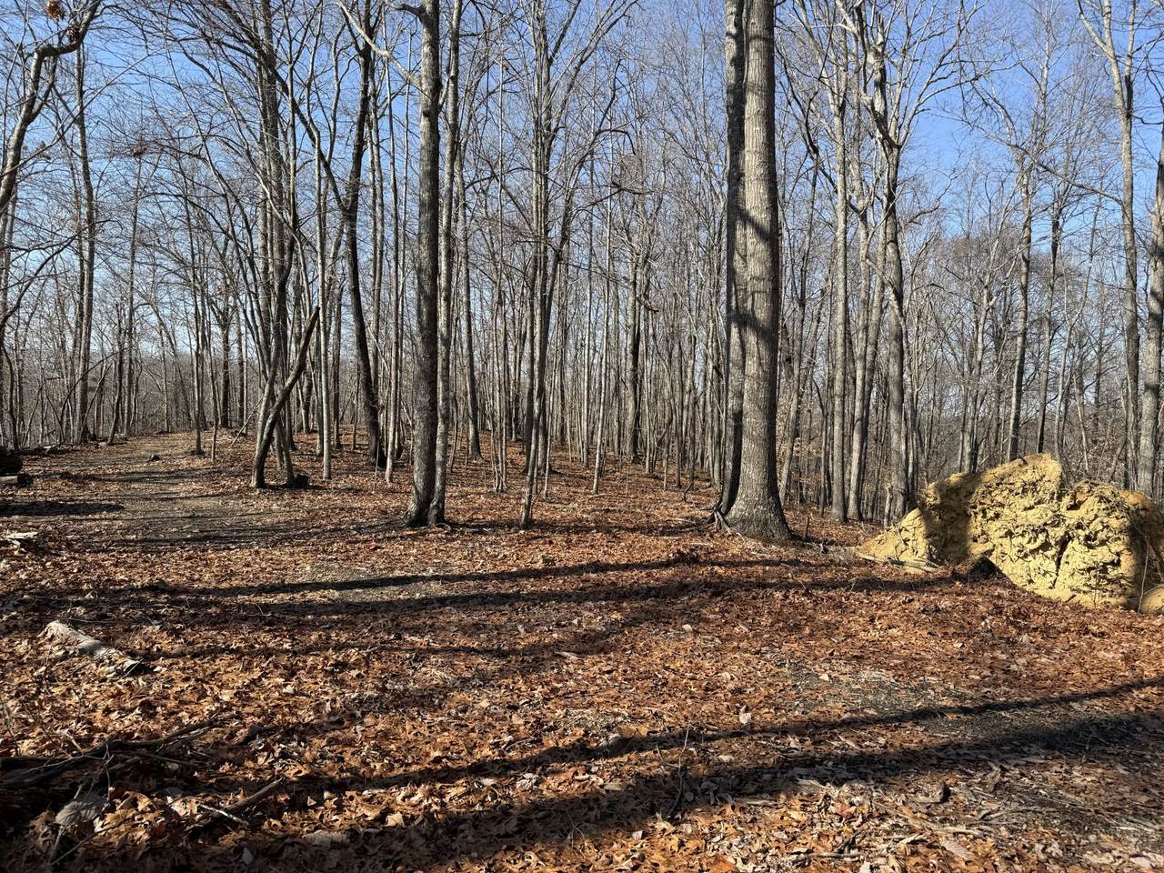 0 Spence Ln - Photo 1