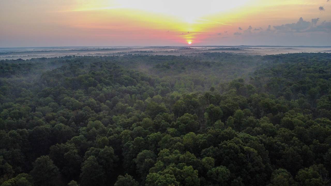 0 Highway 230 - Photo 1