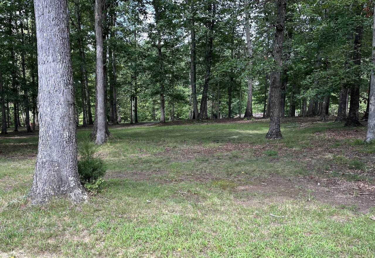 221 Blackberry Farm Rd - Photo 1