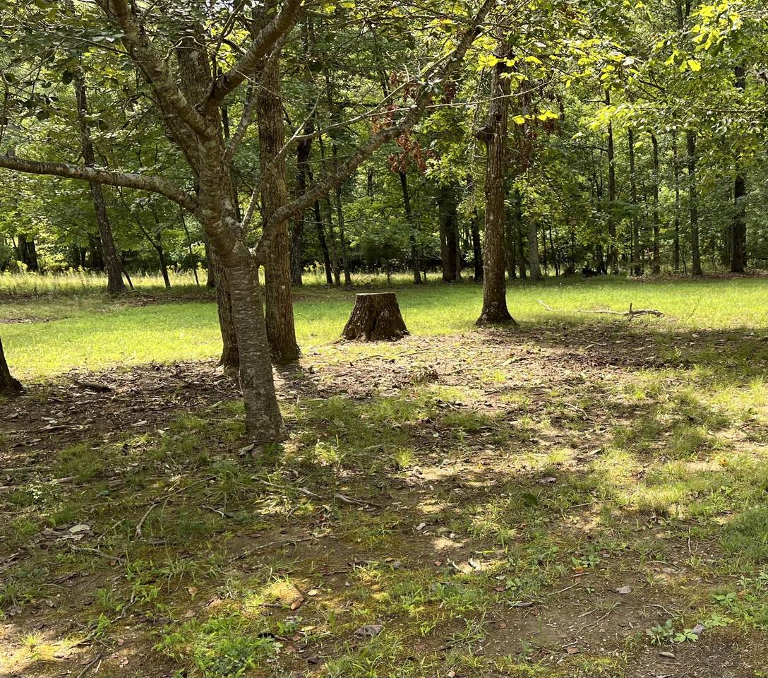 214 Blackberry Farm Rd - Photo 1