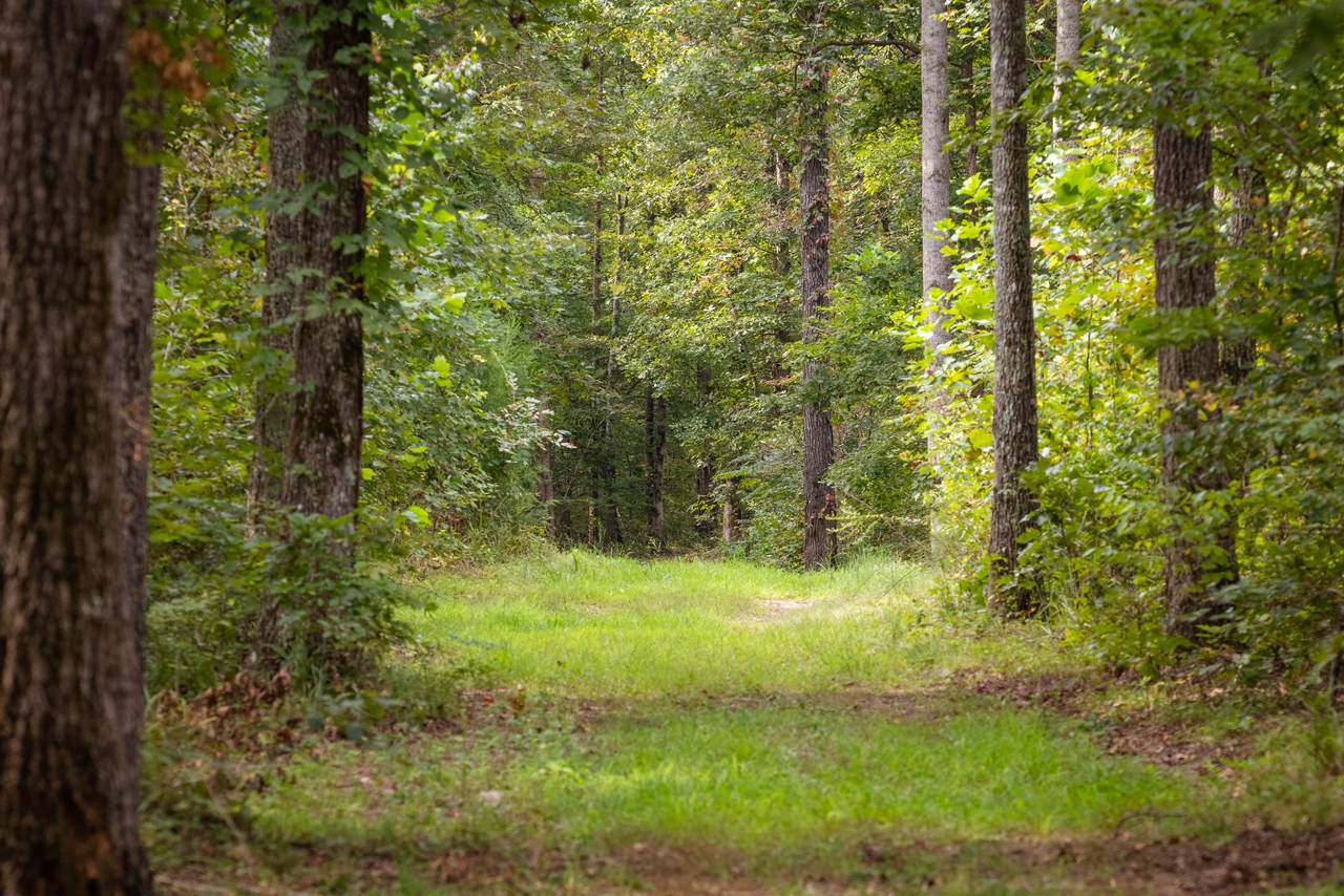https://bt-photos.global.ssl.fastly.net/nashville/1280_boomver_2_RTC3000446-1.jpg