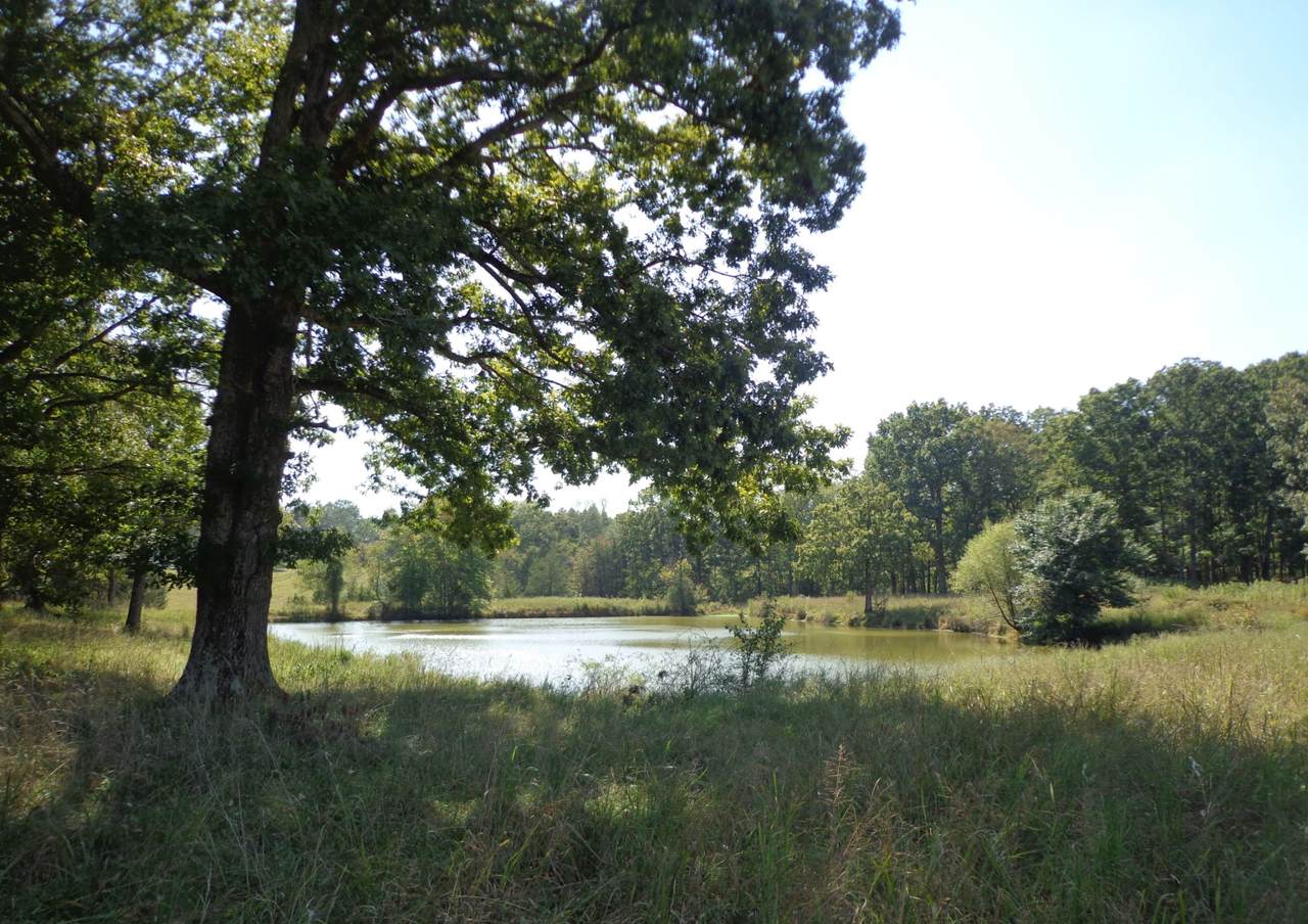 1551 Tennessee Ridge Road - Photo 1