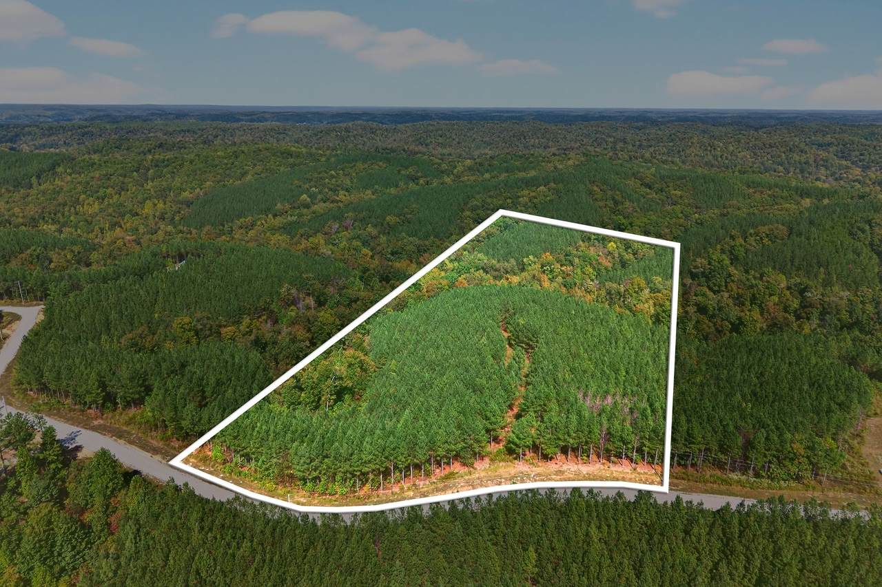 210 Ridgewood Dr - Photo 1