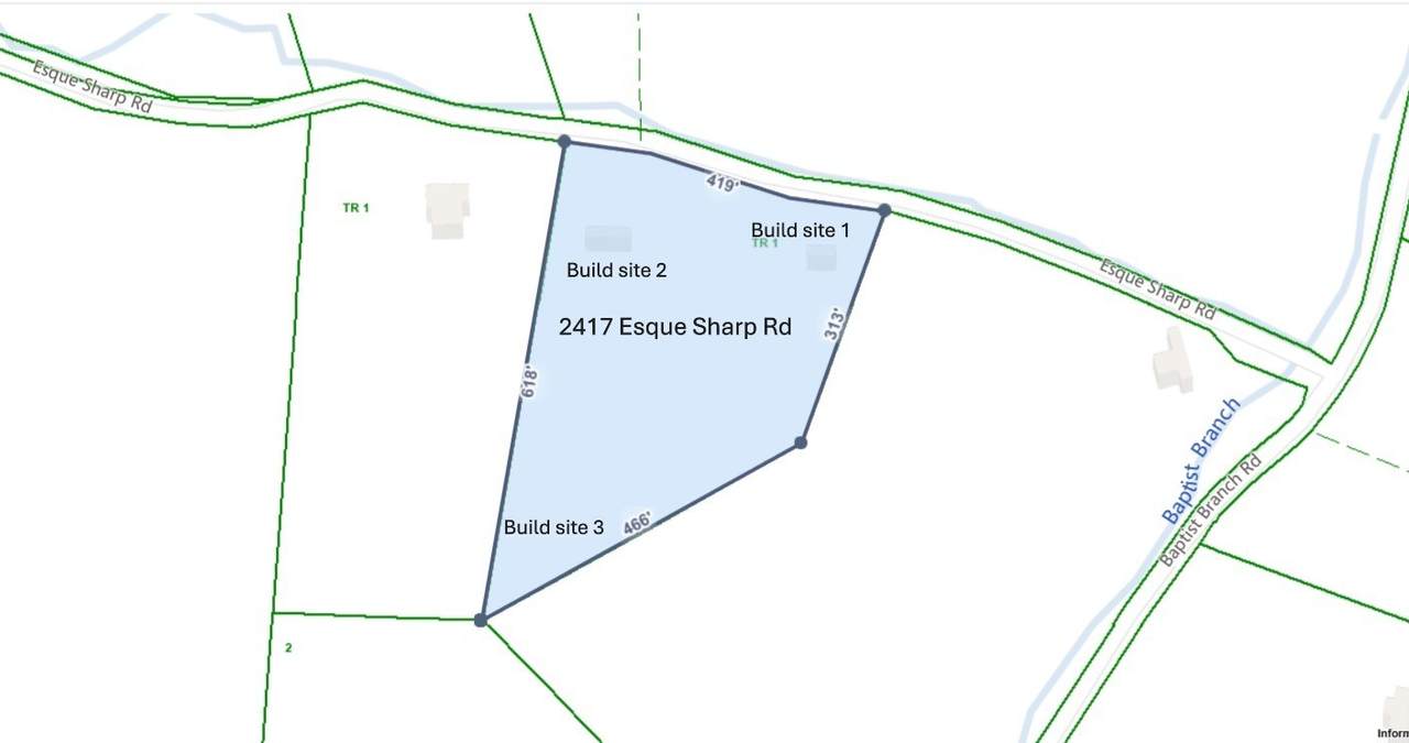 2417 Esque Sharp Rd - Photo 1
