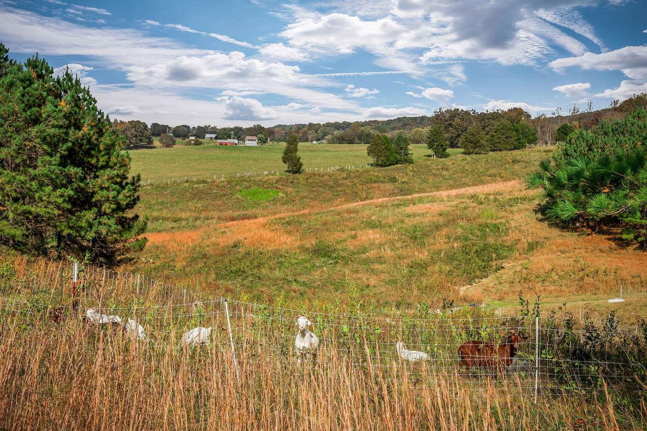 378 Bennett Rd - Photo 1