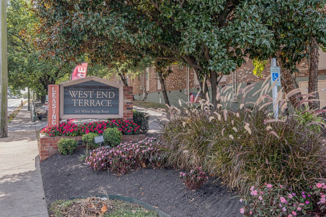 261 White Bridge Pike - Photo 1