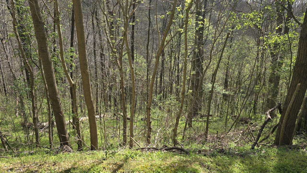 https://bt-photos.global.ssl.fastly.net/nashville/1280_boomver_2_RTC3033669-1.jpg