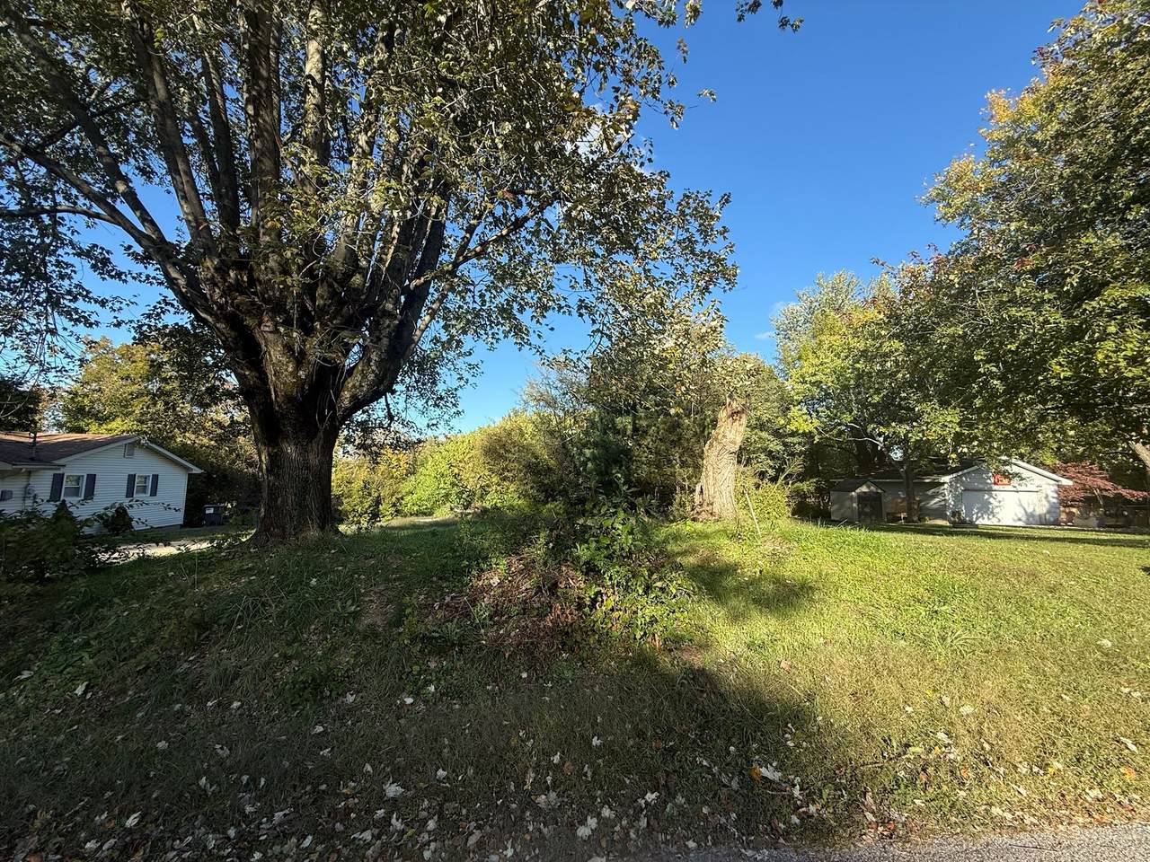 0 Corydon Green Lick Rd - Photo 1