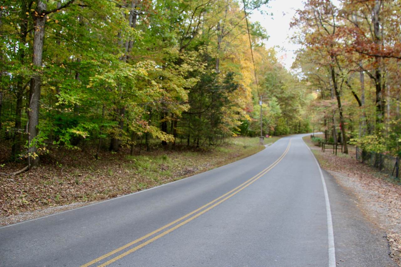0 Jackson Cabin Road - Photo 1