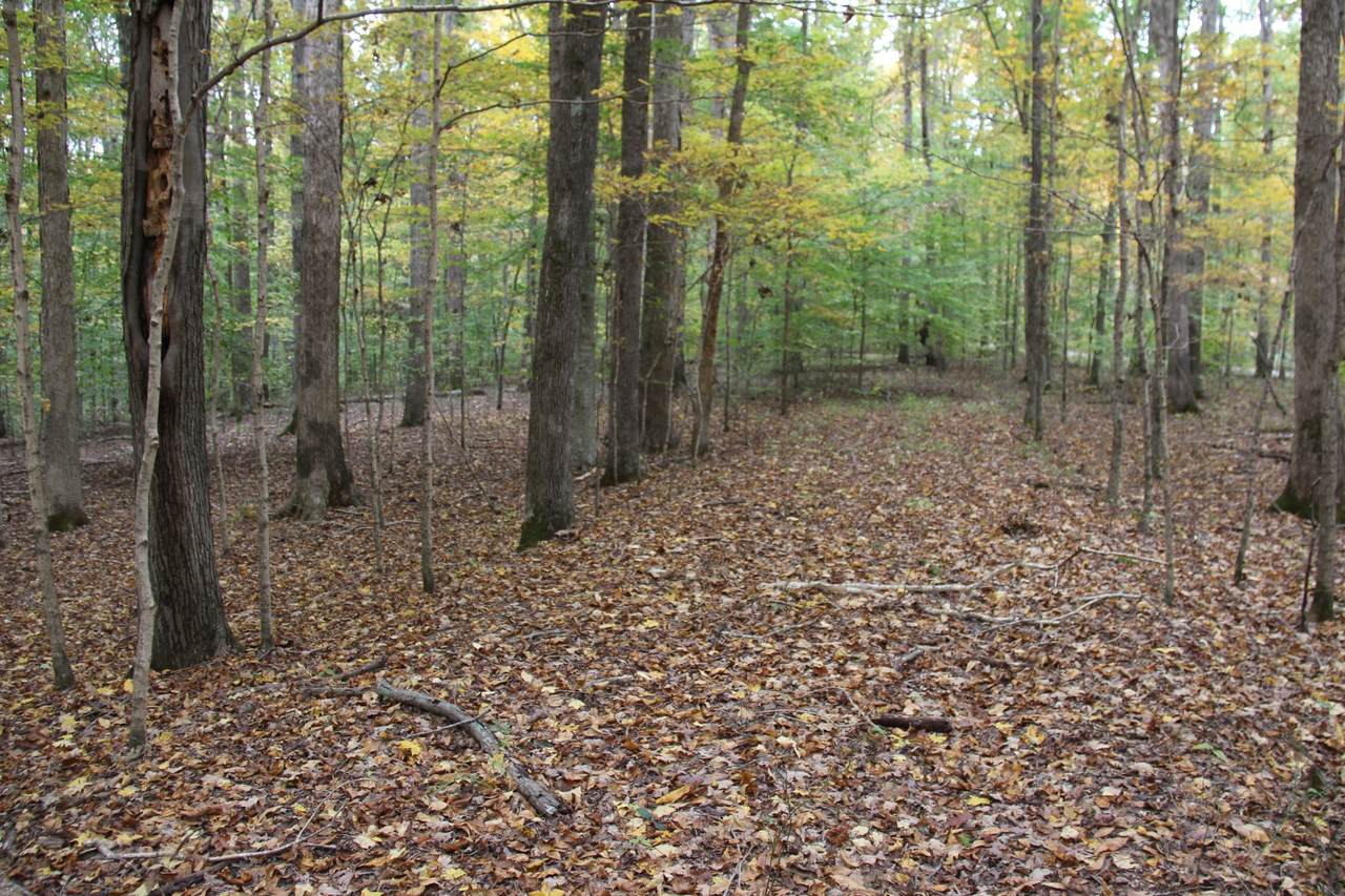 https://bt-photos.global.ssl.fastly.net/nashville/1280_boomver_2_RTC3037620-1.jpg