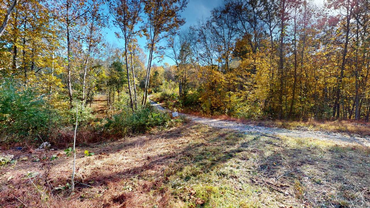 https://bt-photos.global.ssl.fastly.net/nashville/1280_boomver_2_RTC3042268-1.jpg