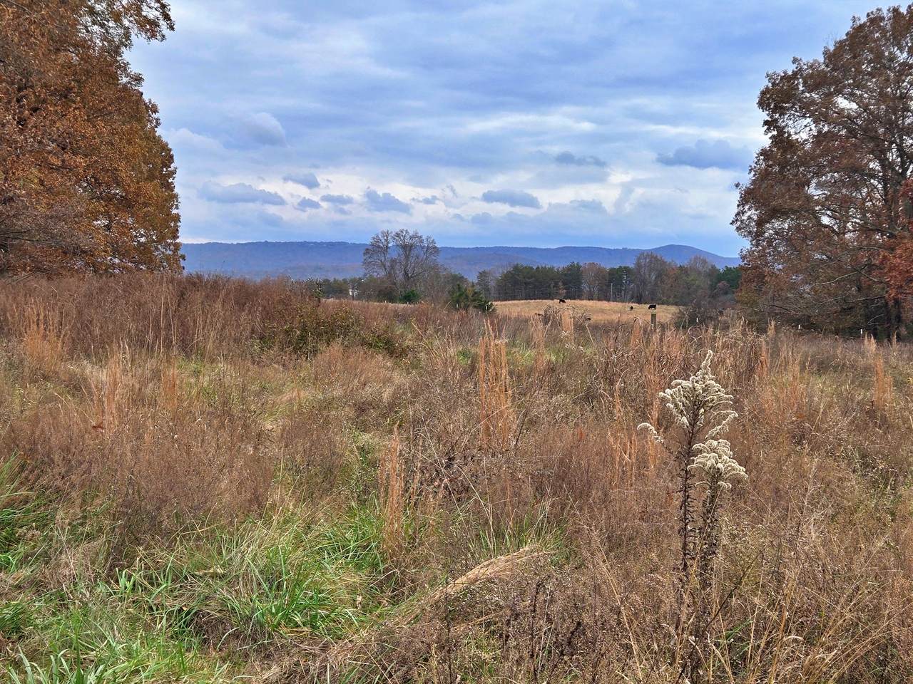 0 Hidden River Rd - Photo 1
