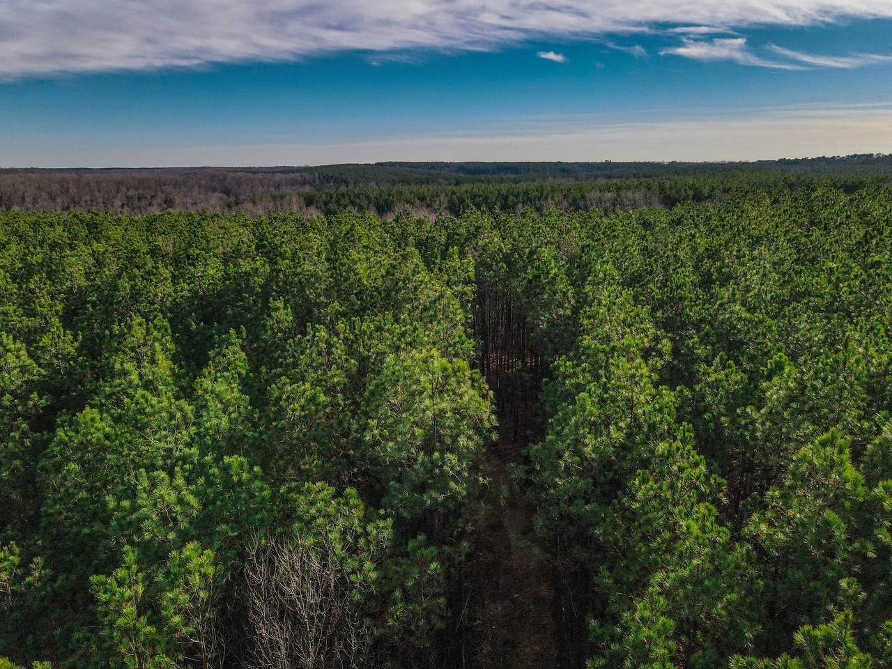 0 Brush Creek Rd - Photo 1