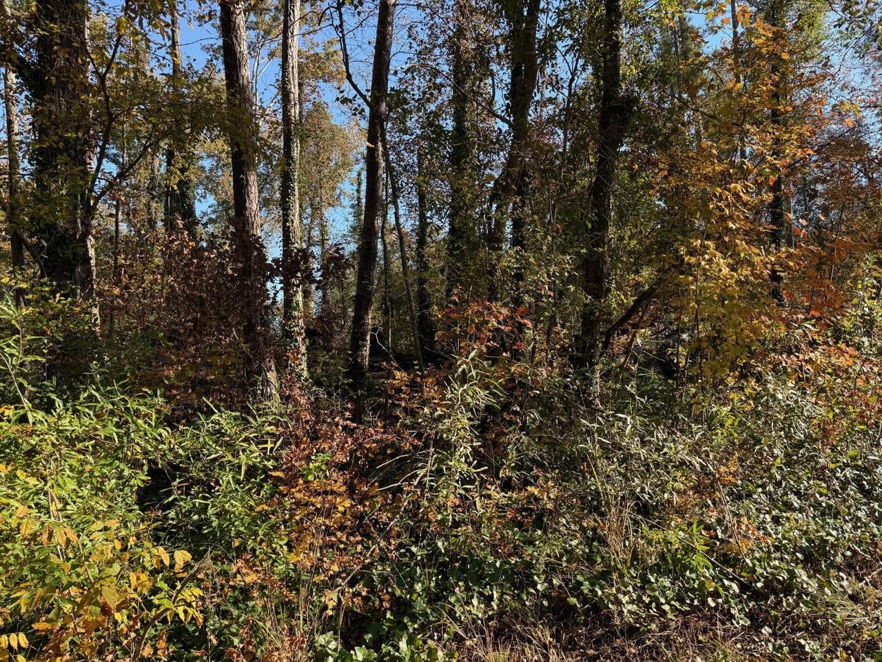 https://bt-photos.global.ssl.fastly.net/nashville/1280_boomver_2_RTC3043137-1.jpg