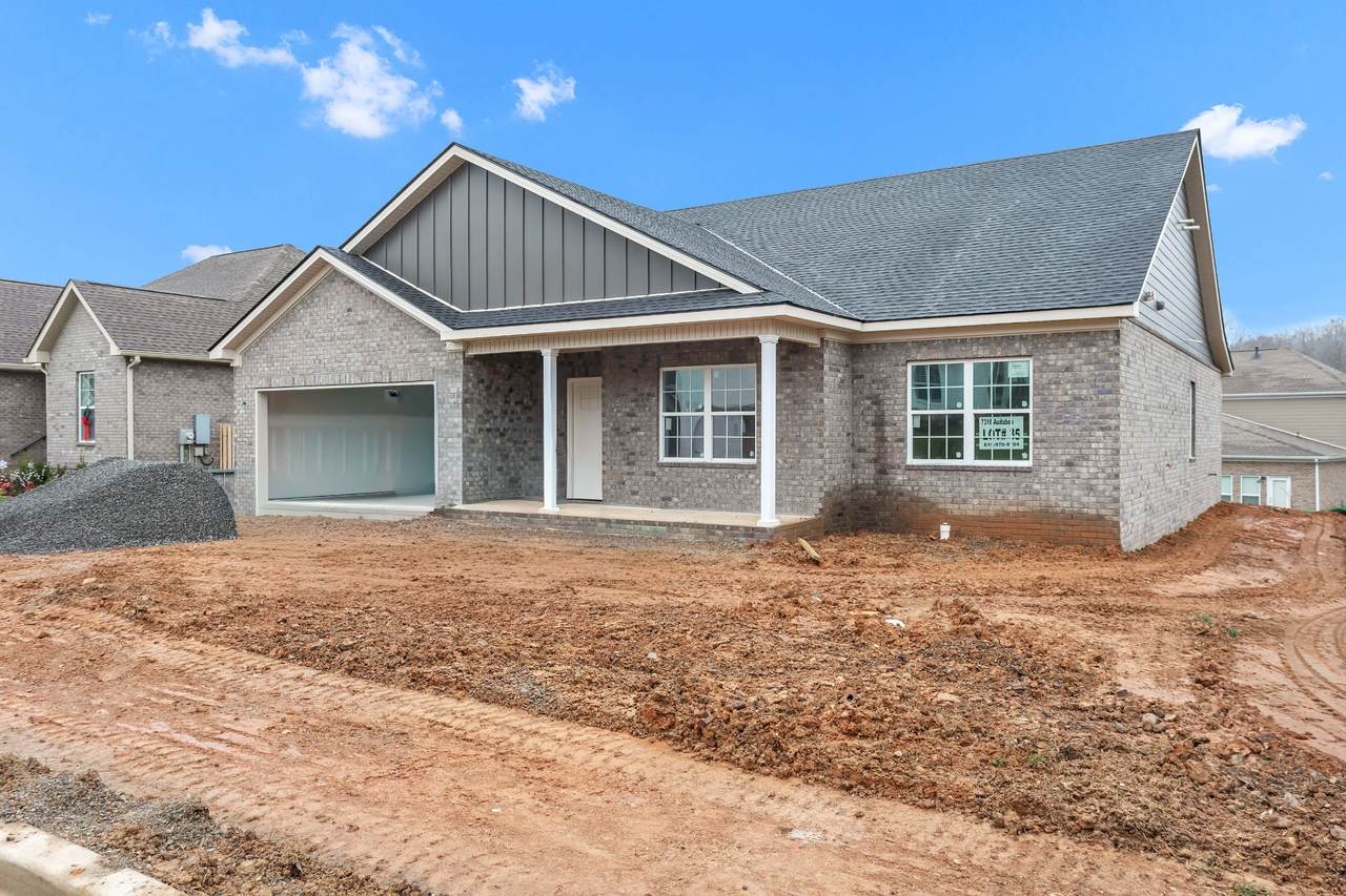 7316 Audubon Cv - Photo 1