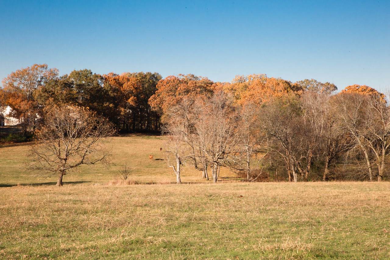 https://bt-photos.global.ssl.fastly.net/nashville/1280_boomver_2_RTC3050178-1.jpg