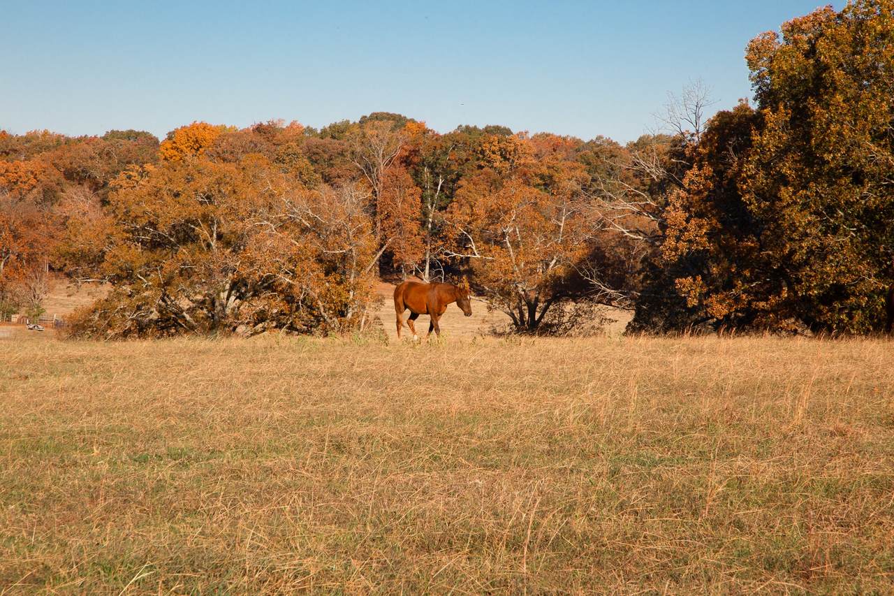 https://bt-photos.global.ssl.fastly.net/nashville/1280_boomver_2_RTC3050178-1.jpg