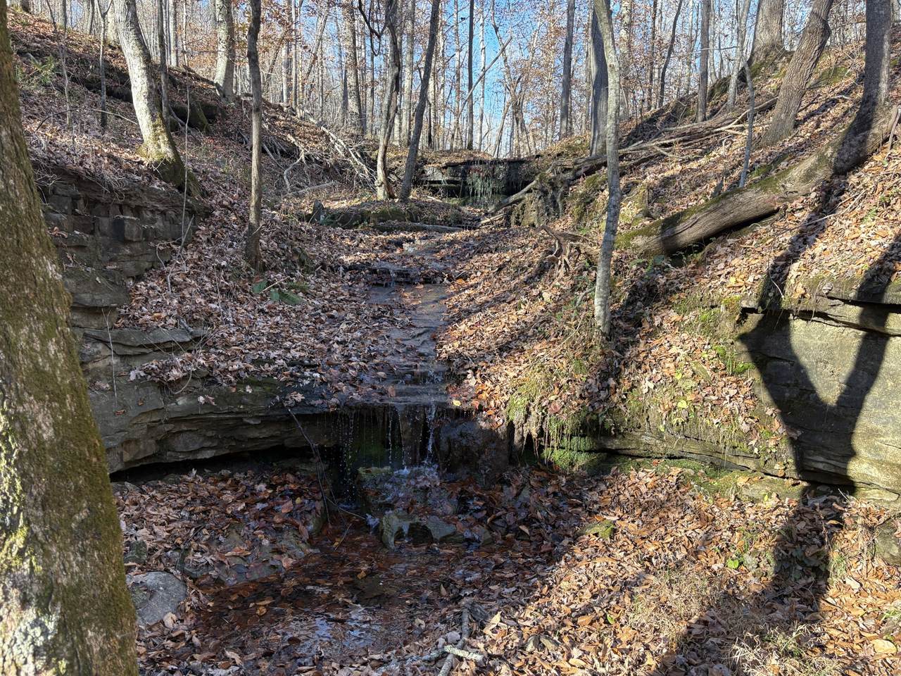 0 Pigpen Hollow Rd - Photo 1