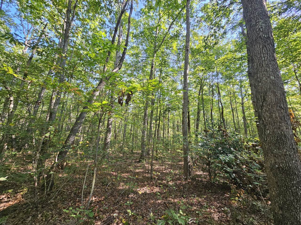 https://bt-photos.global.ssl.fastly.net/nashville/1280_boomver_2_RTC3051618-1.jpg