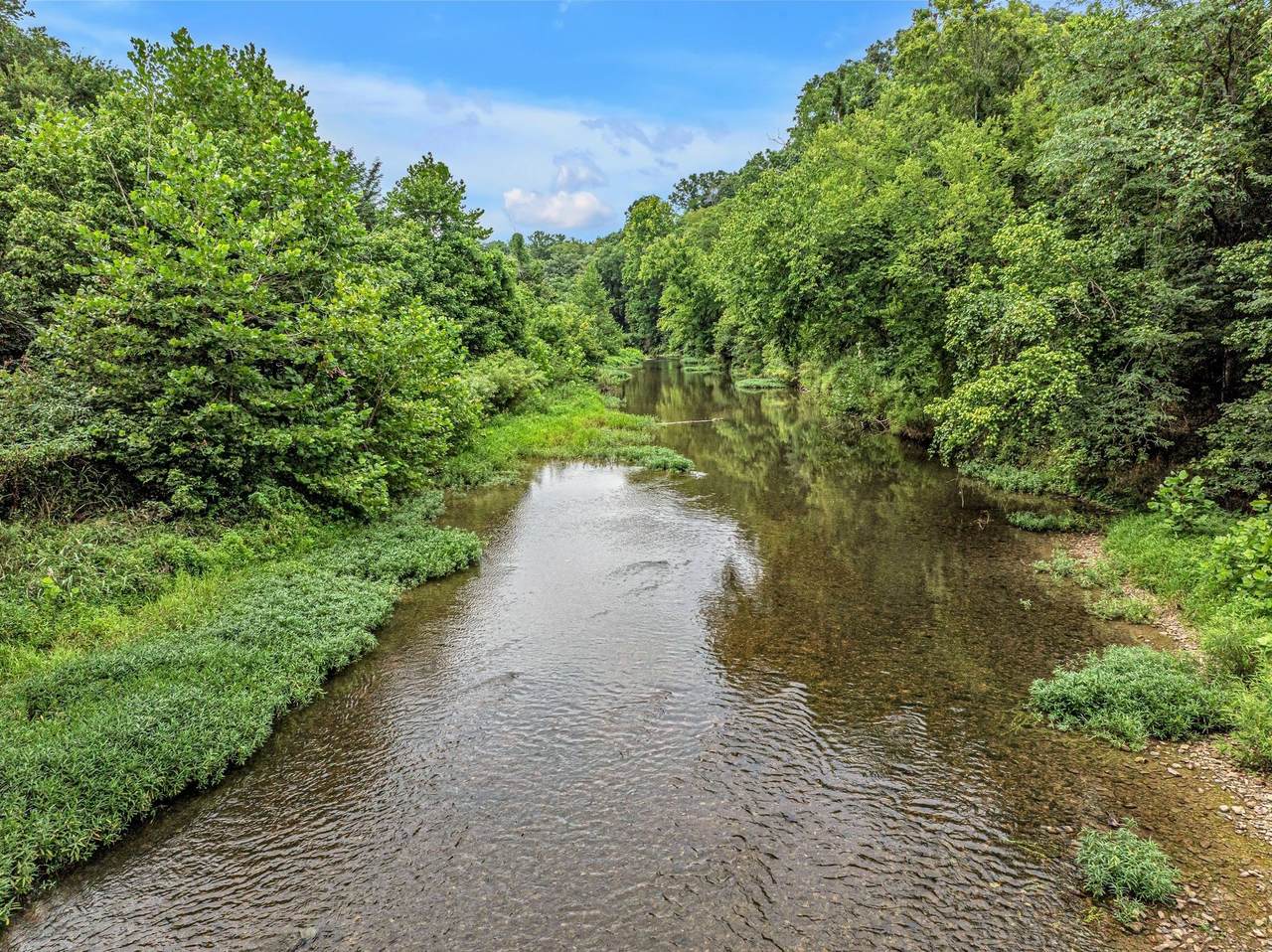 1259 Petty Road - Photo 1