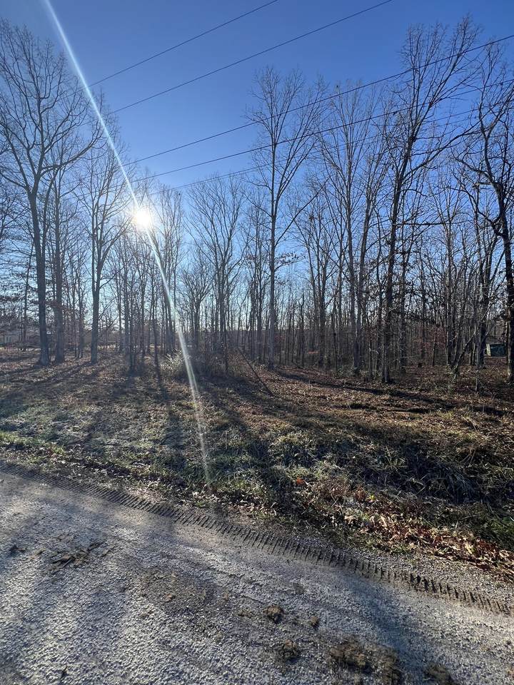 151 Kimberly Rd - Photo 1
