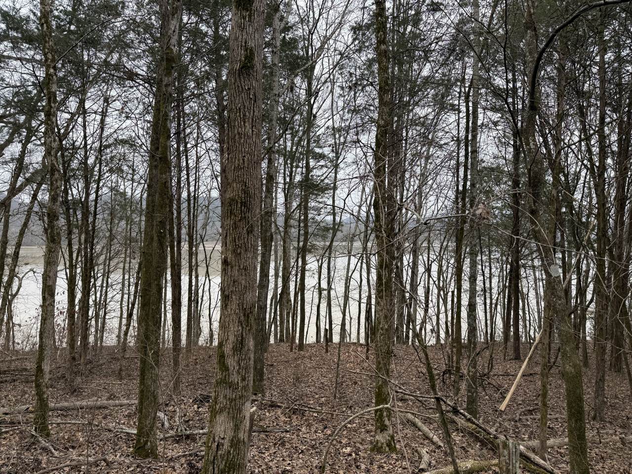 0 Cook Ln - Photo 1
