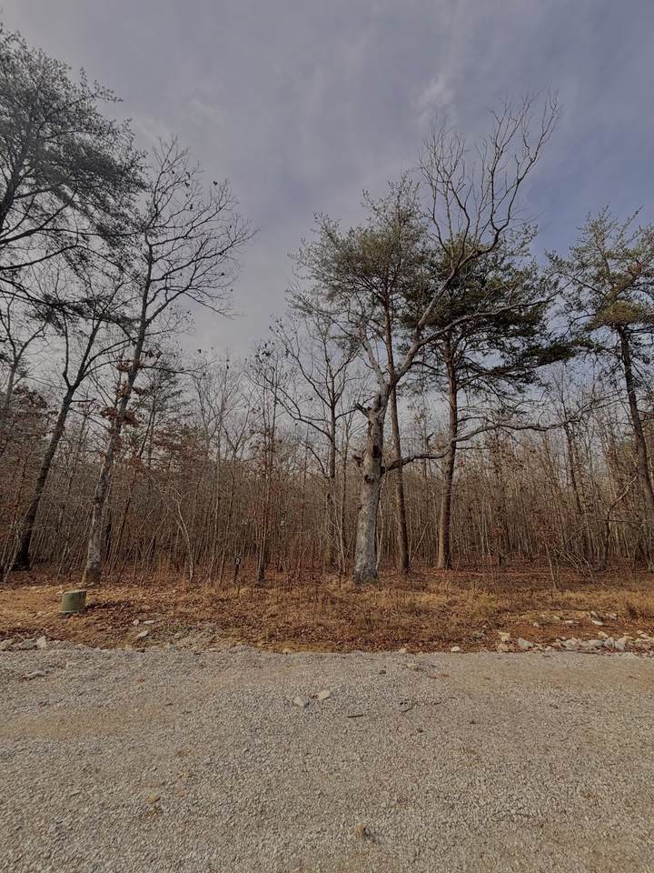 https://bt-photos.global.ssl.fastly.net/nashville/1280_boomver_2_RTC3056691-1.jpg