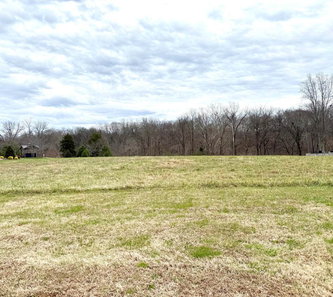 https://bt-photos.global.ssl.fastly.net/nashville/1280_boomver_2_RTC3056801-1.jpg