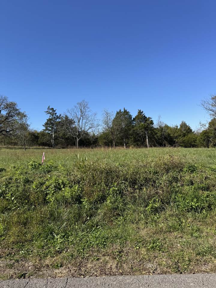 1547 E Stewarts Ln - Photo 1