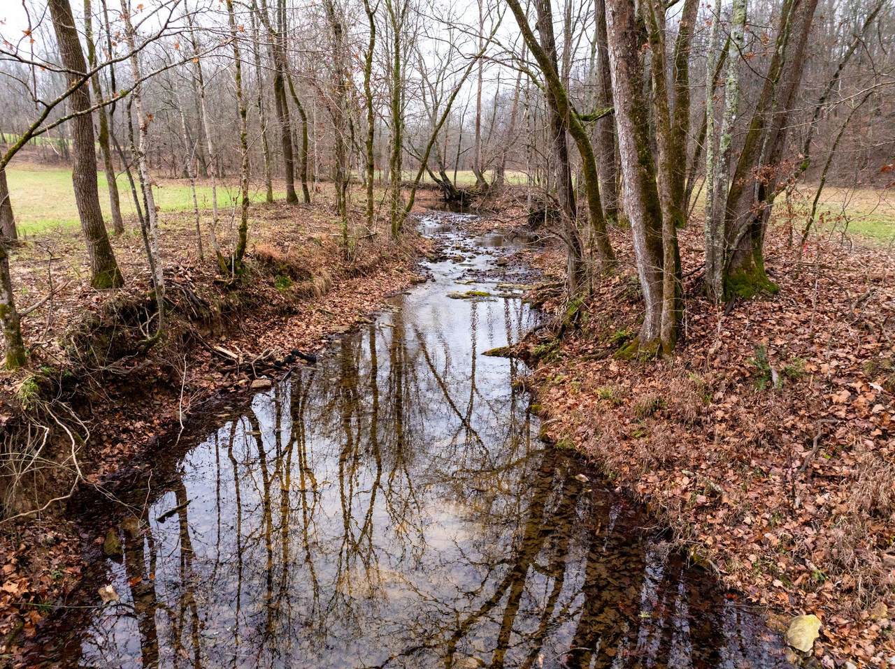 0 Shelter Branch Road - Photo 1
