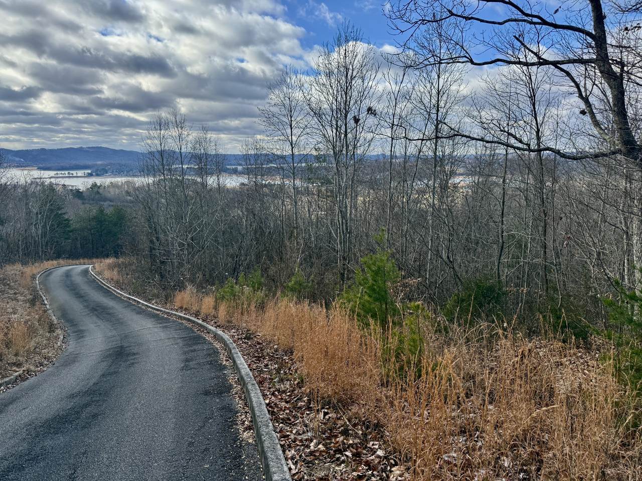 1 Megans Trail - Photo 1