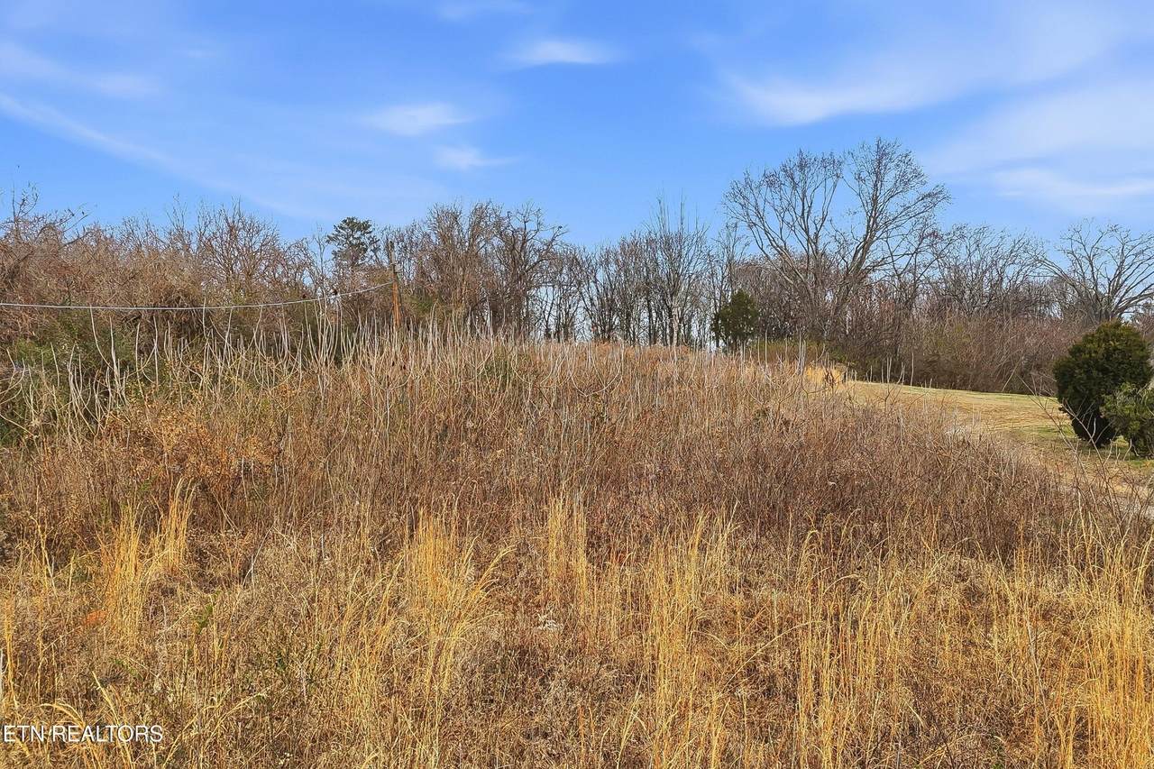 6521 Vance Rd - Photo 1